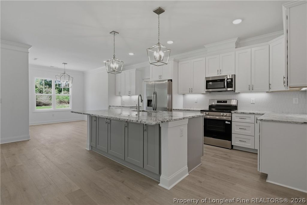 3223 Leaflet Church Road, Broadway, NC 27505 — photo 9