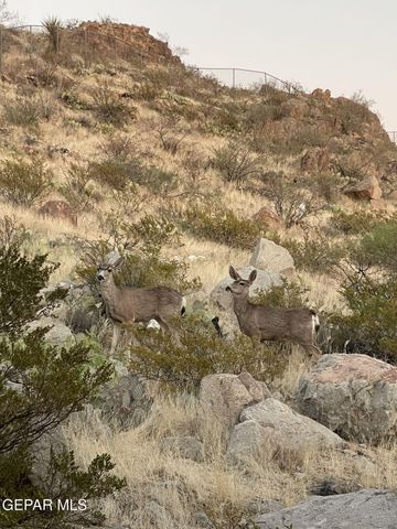 6657 BOULDER CANYON Lane, El Paso, TX 79912