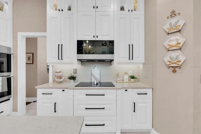 2718 BRIANHOLLY DRIVE, Valrico, FL 33596