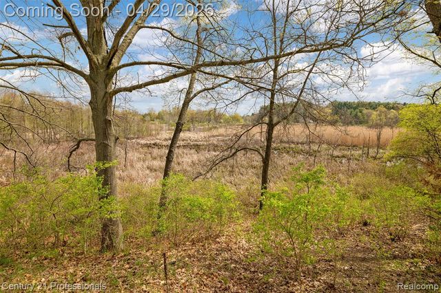 9200 Clyde Road, Fenton, MI 48430