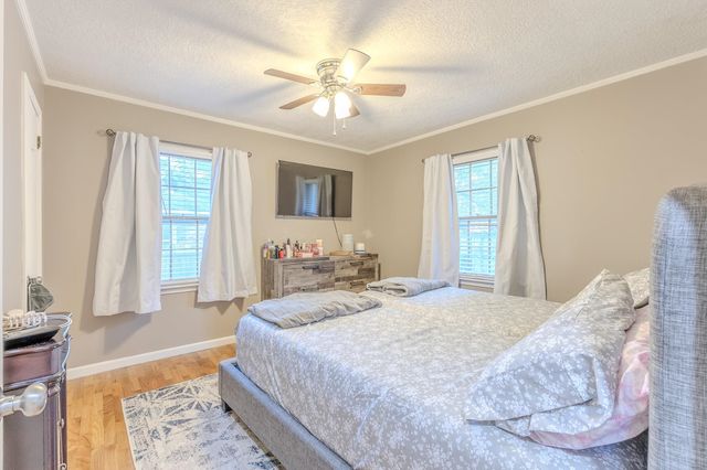 557 CIRCLE DR, Halls, TN 38040