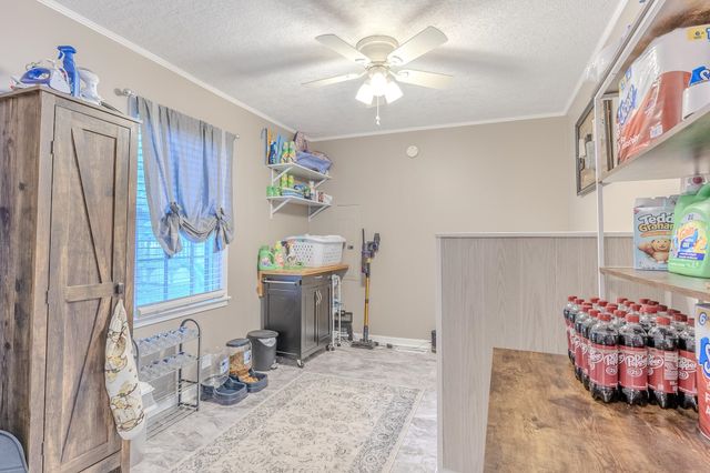 557 CIRCLE DR, Halls, TN 38040