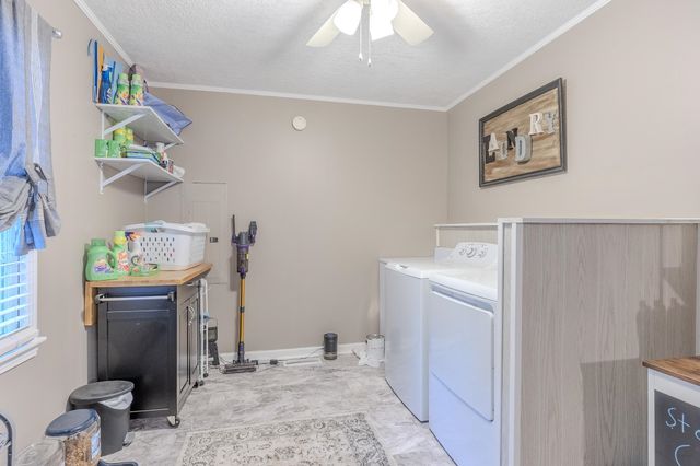 557 CIRCLE DR, Halls, TN 38040