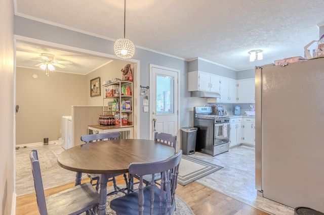 557 CIRCLE DR, Halls, TN 38040