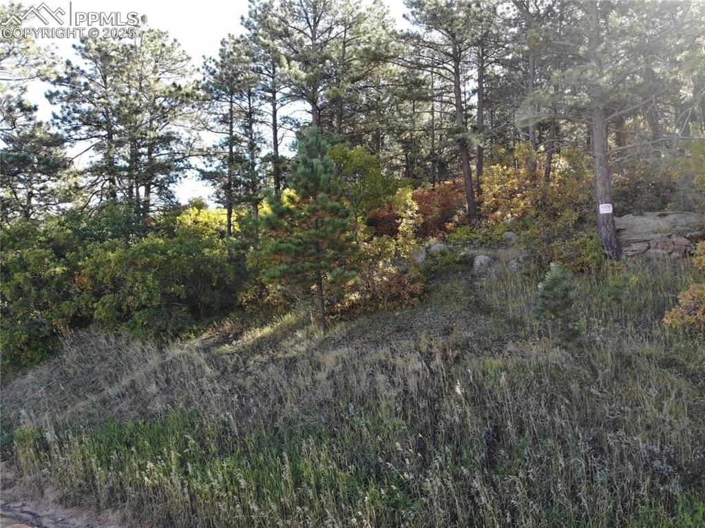 Oakdale Terrace, Palmer Lake, CO 80133 — exterior