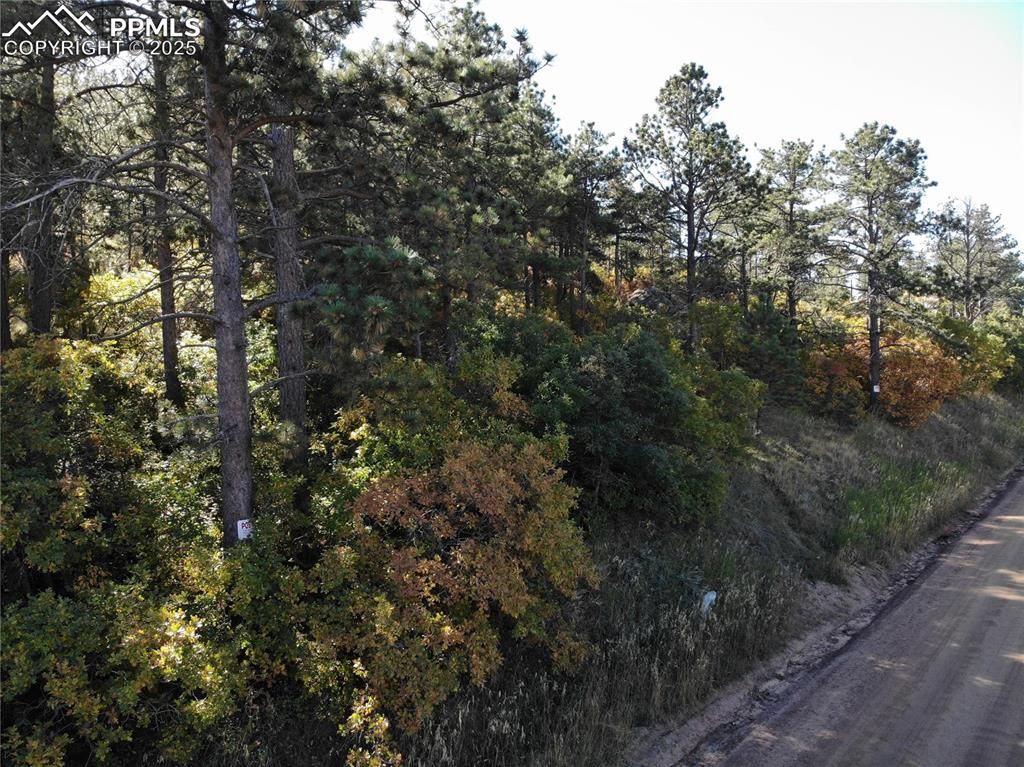 Oakdale Terrace, Palmer Lake, CO 80133 — photo 2