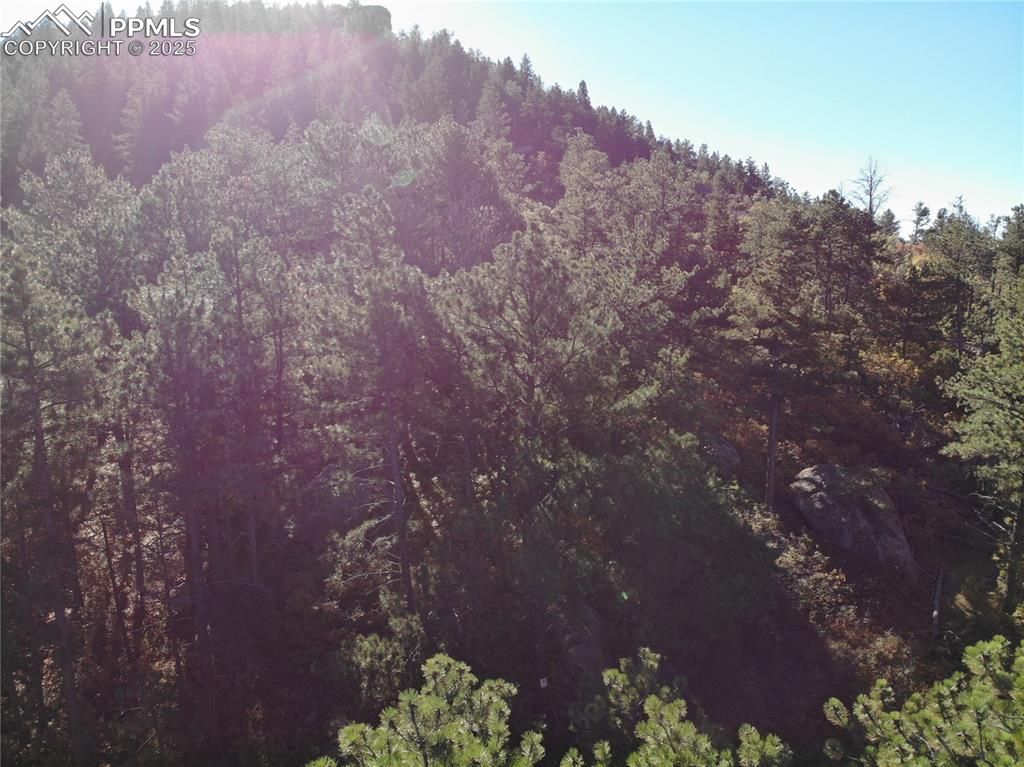 Oakdale Terrace, Palmer Lake, CO 80133 — photo 5