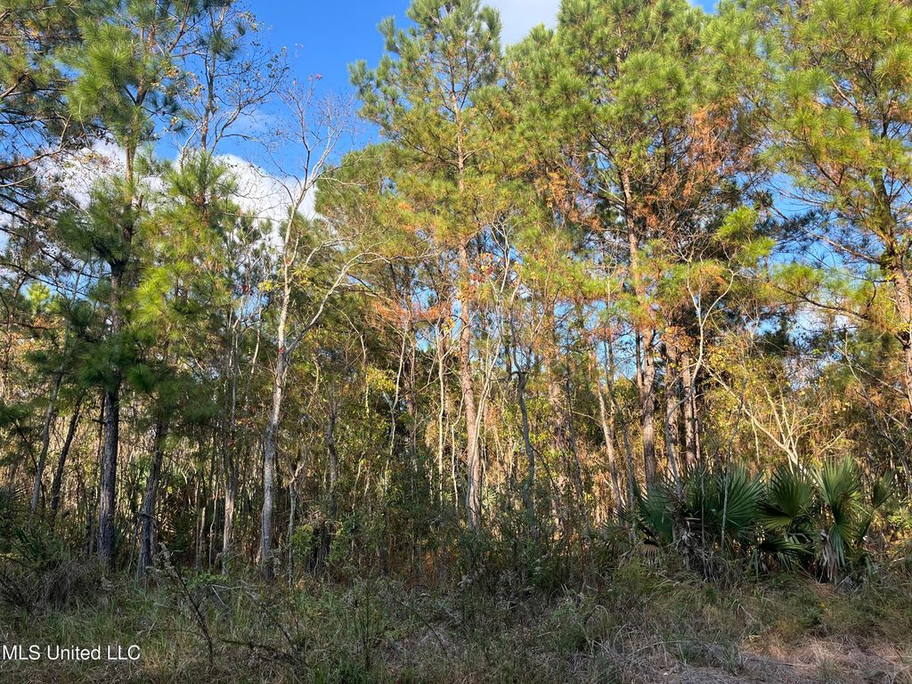 Marigold St. Street, Bay Saint Louis, MS 39520