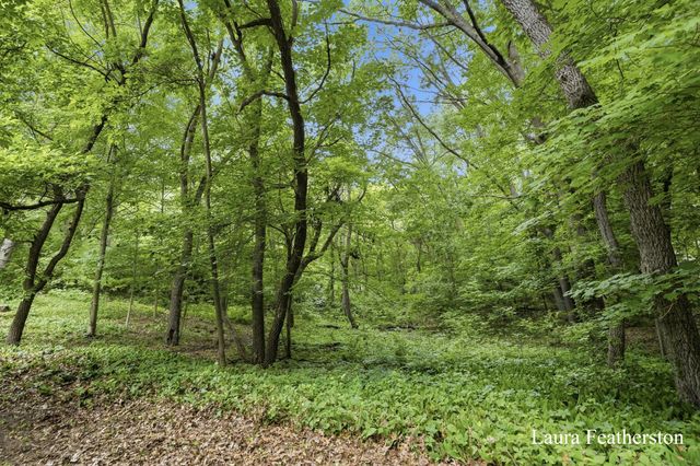 2291 Burton Pines Drive Se, City Of Kentwood, MI 49546