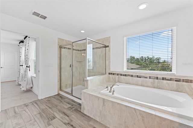 19184 LONG LAKE RANCH BOULEVARD, Lutz, FL 33558