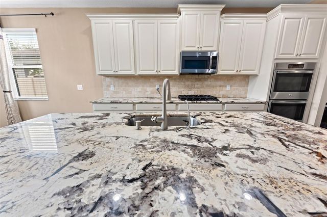 19184 LONG LAKE RANCH BOULEVARD, Lutz, FL 33558