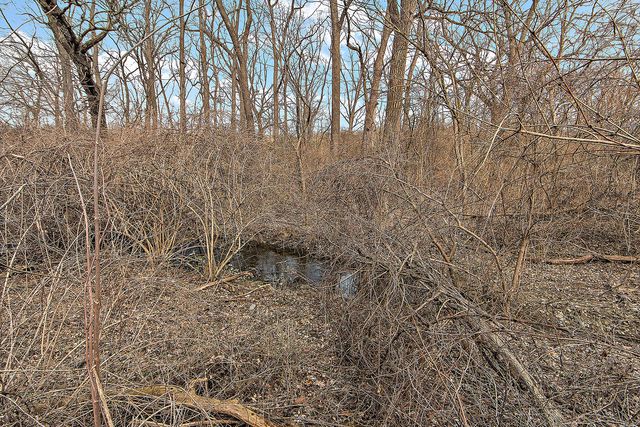 Vacant S High Road, Lockport, IL 60441