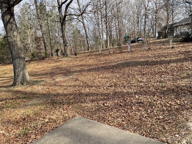 399 Marion Ct, Springfield, TN 37172