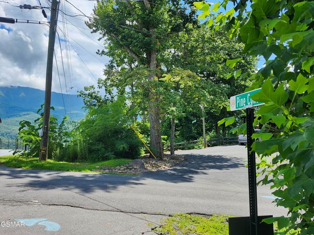 917 Pine Cone Way, Gatlinburg, TN 37738