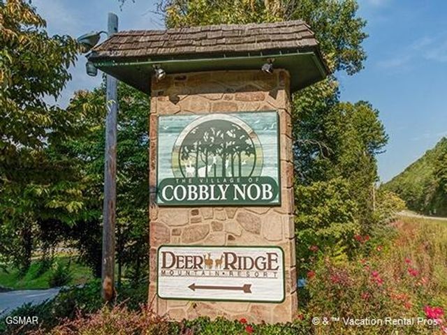 917 Pine Cone Way, Gatlinburg, TN 37738