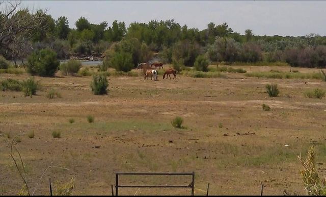 49300 E State HWY 96, Avondale, CO 81022