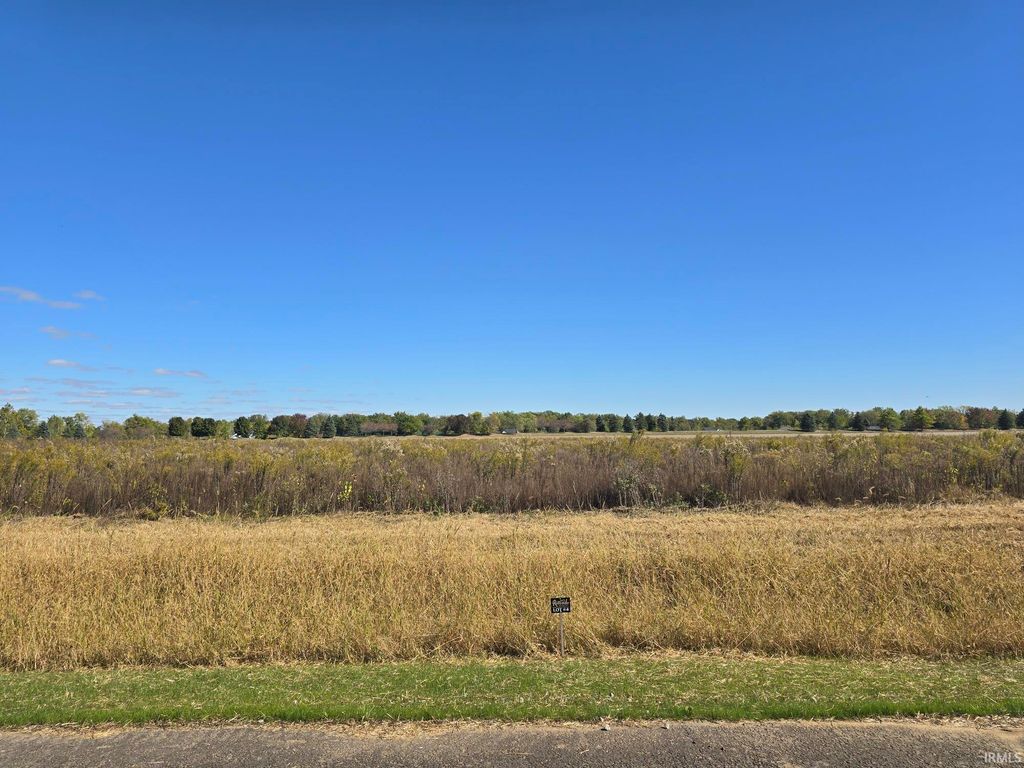Lot 4 County Road 17 Drive, Auburn, IN 46706