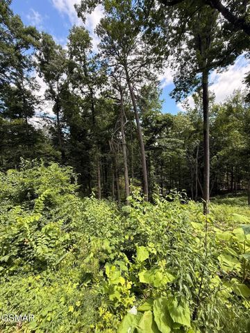 12 Cherokee Drive, Dandridge, TN 37725