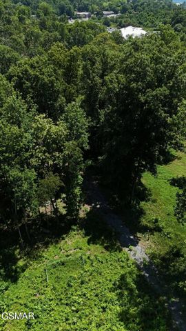 12 Cherokee Drive, Dandridge, TN 37725