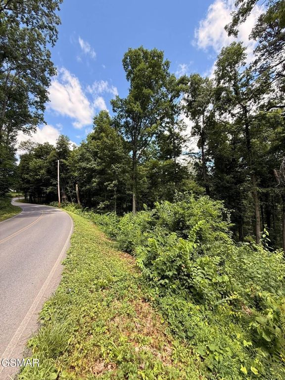 12 Cherokee Drive, Dandridge, TN 37725