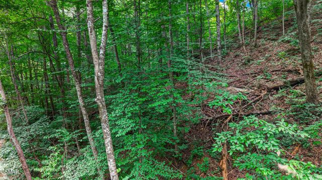Lot 10 Maple Hill Way, Gatlinburg, TN 37738
