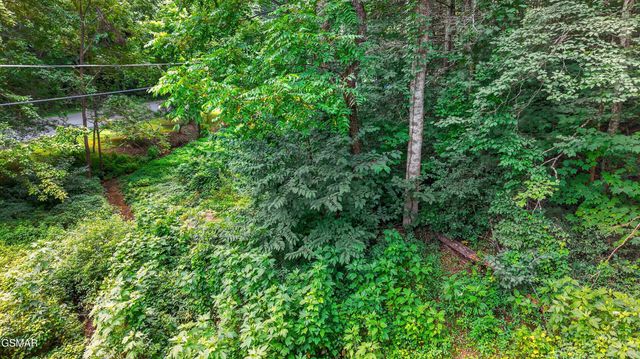 Lot 10 Maple Hill Way, Gatlinburg, TN 37738