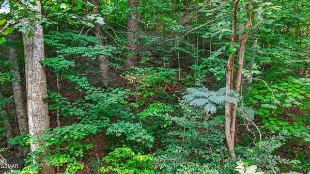 Lot 10 Maple Hill Way, Gatlinburg, TN 37738