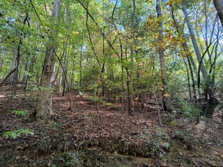 Lot 334 Cold Stream Court, Ellijay, GA 30540