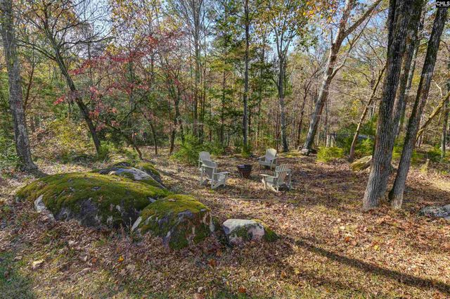 9498 Us Highway 176, Pomaria, SC 29126