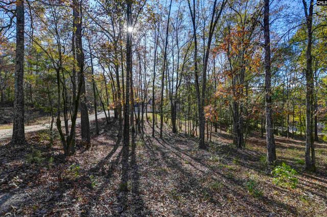 9498 Us Highway 176, Pomaria, SC 29126