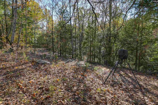 9498 Us Highway 176, Pomaria, SC 29126