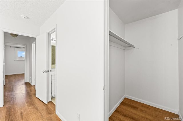 7137 S Webster Street, Littleton, CO 80128