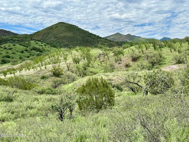 00 Proctor Lane D-2, Patagonia, AZ 85624