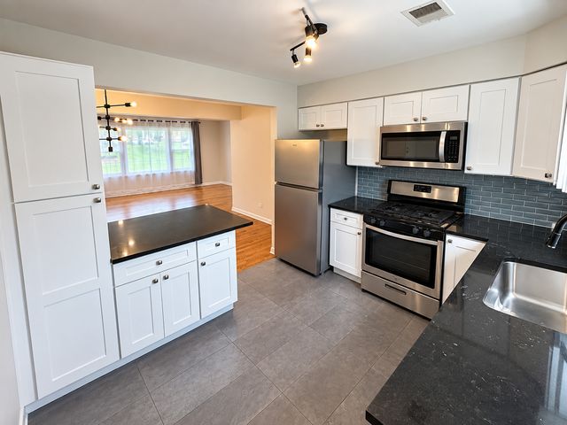 225 W Johnson Street 1A, Palatine, IL 60067