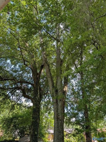 310 Cumberland Drive SE, Huntsville, AL 35803