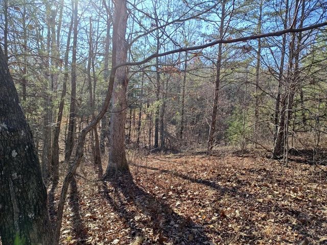 0 Skyhigh Trail 16, Dunlap, TN 37327