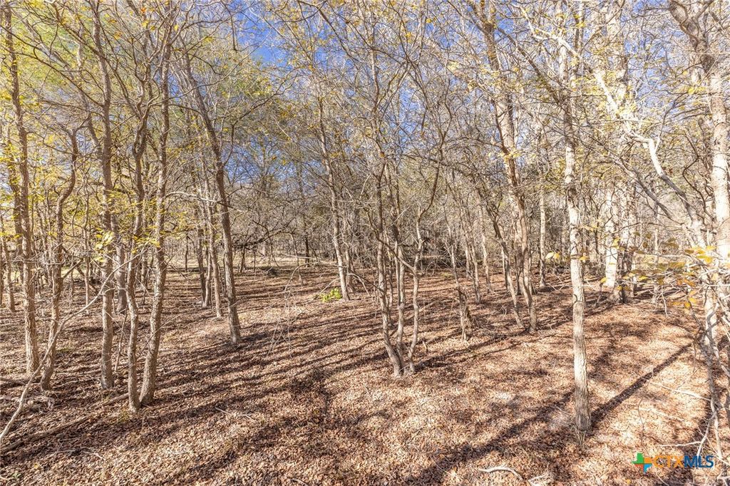 Image 2 of property listing at TBD N Landmart, Smiley, TX 78159