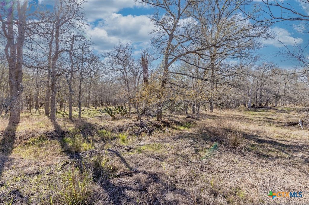 Image 5 of property listing at TBD N Landmart, Smiley, TX 78159