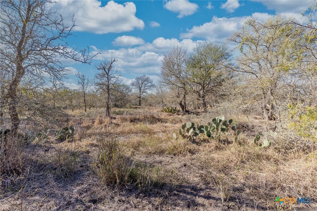 Image 7 of property listing at TBD N Landmart, Smiley, TX 78159