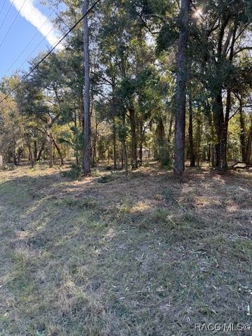 3020 S Calais Terrace, Homosassa, FL 34448