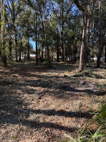 3020 S Calais Terrace, Homosassa, FL 34448