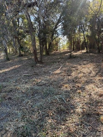 3020 S Calais Terrace, Homosassa, FL 34448