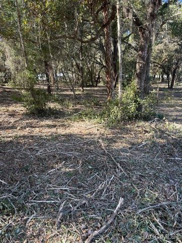 3020 S Calais Terrace, Homosassa, FL 34448