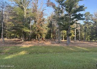00 Shire Avenue, Forest, MS 39074