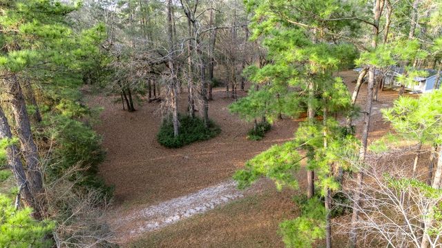 27310 Decker Woods Drive, Magnolia, TX 77354