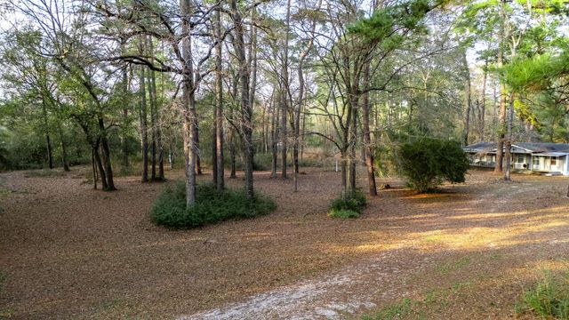 27310 Decker Woods Drive, Magnolia, TX 77354