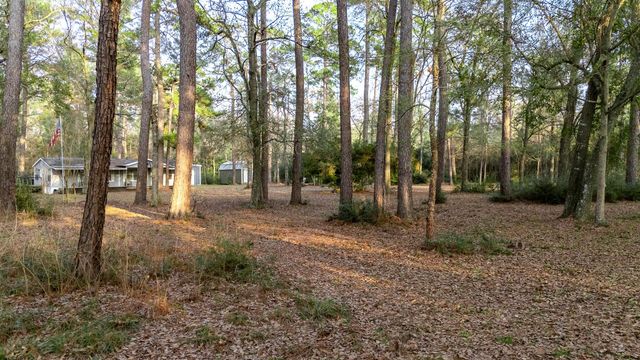 27310 Decker Woods Drive, Magnolia, TX 77354