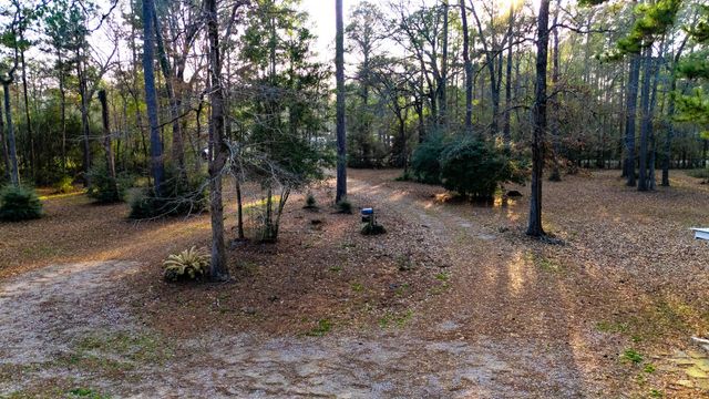 27310 Decker Woods Drive, Magnolia, TX 77354