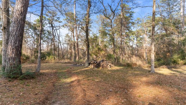 27310 Decker Woods Drive, Magnolia, TX 77354