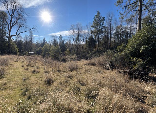 274 Maureen Drive, Cave Junction, OR 97523